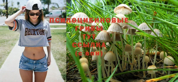 ECSTASY Нефтекумск