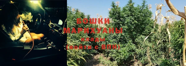 mdpv Новозыбков
