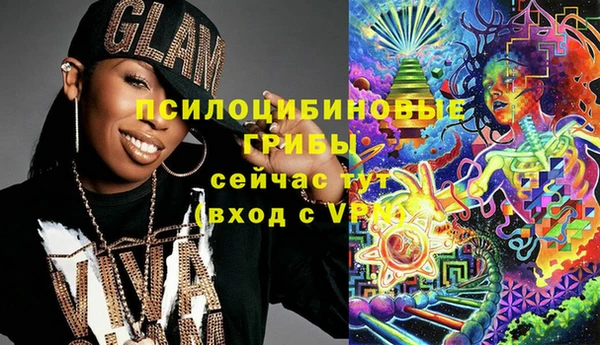 амф Новокубанск