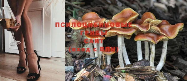 ALPHA-PVP Новодвинск