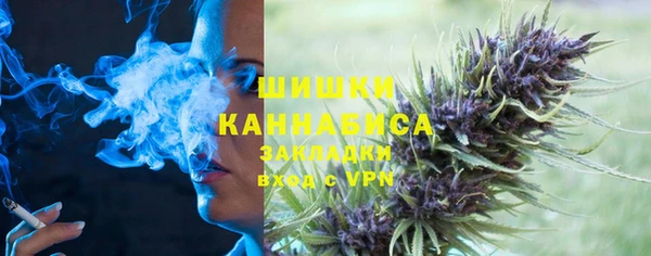 стаф Нея
