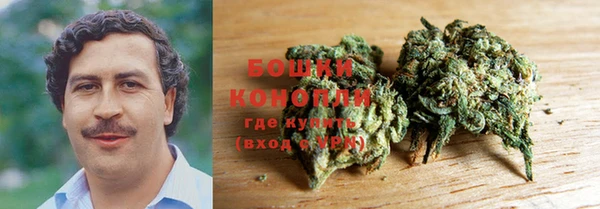 СК Бикин
