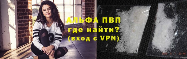 амф Новокубанск