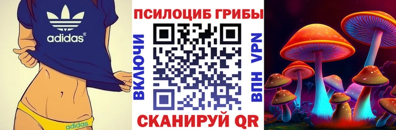 даркнет сайт  Тамбов  Псилоцибиновые грибы Psilocybine cubensis 