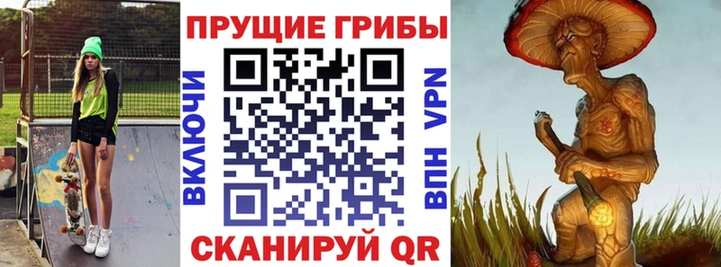 Псилоцибиновые грибы Psilocybine cubensis Тамбов